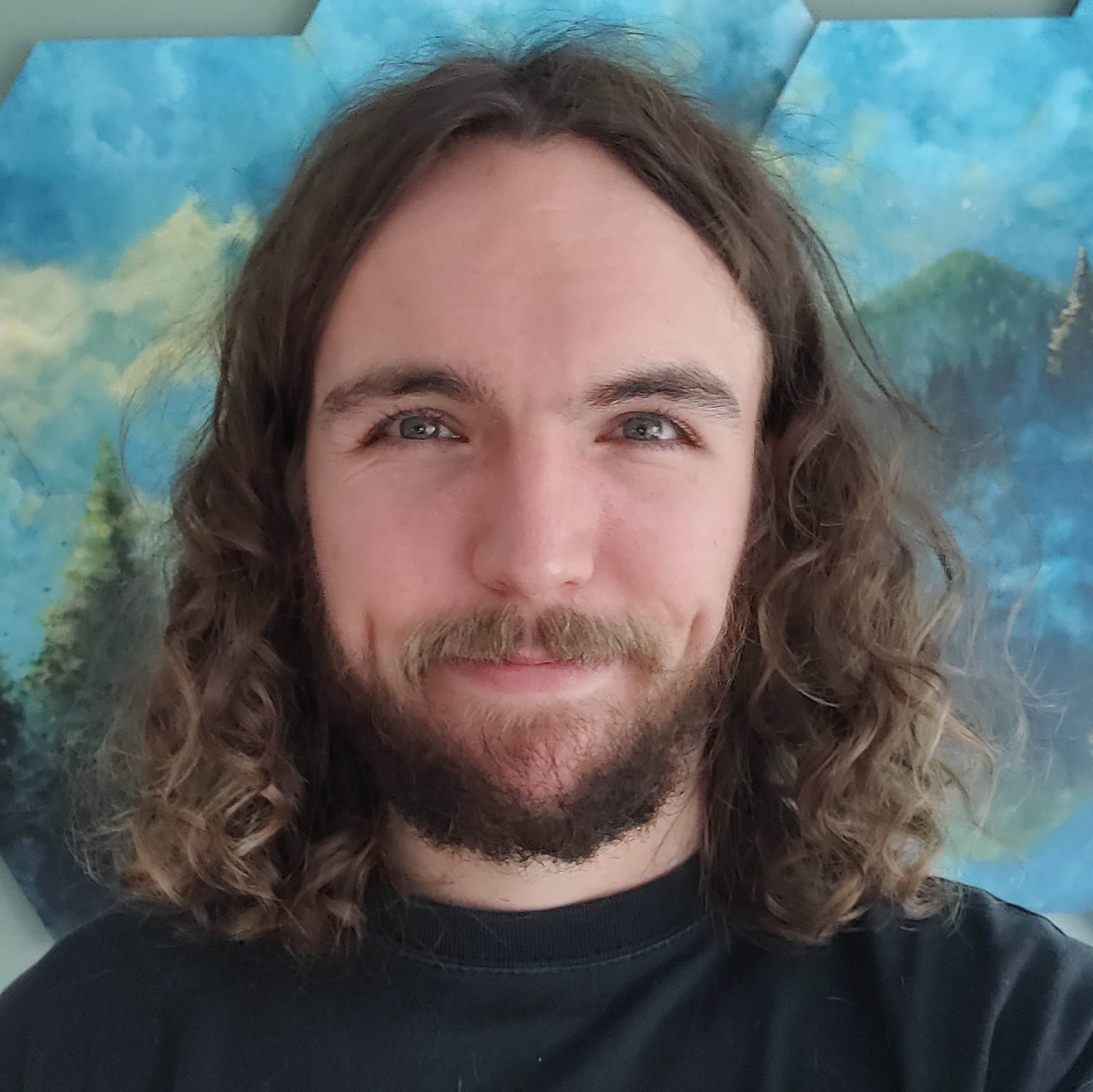 Ciaran van Stee